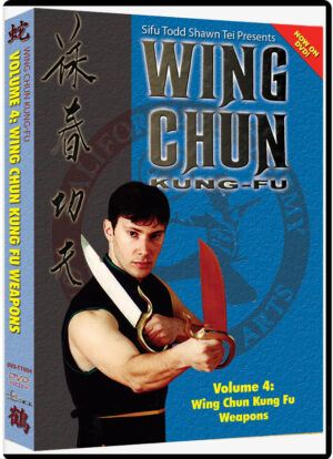 TODD SHAWN TEI - WING CHUN KUNG FU #04