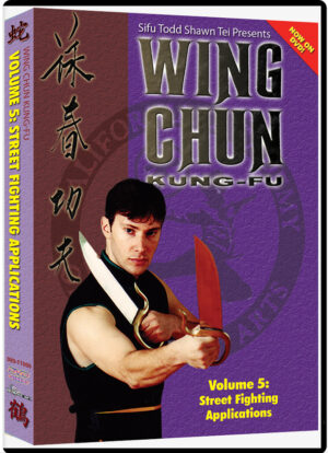 TODD SHAWN TEI - WING CHUN KUNG FU #05