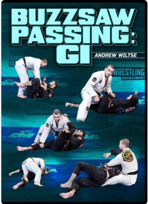 ANDREW WILTSE - BUZZSAW PASSING - GI