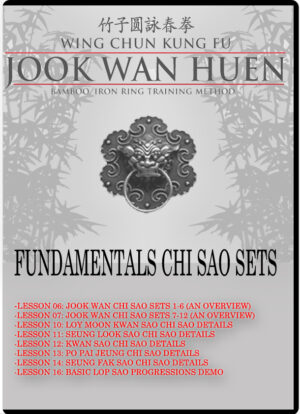 TYLER REA - WING CHUN JOOK WAN HEUN SYSTEM - FOUNDATIONS 02 - CHI SAO SETS