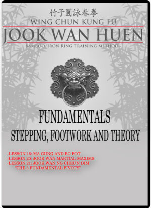 TYLER REA - WING CHUN JOOK WAN HEUN SYSTEM - FOUNDATIONS 04 - STEPPINGS, FOOTWORK AND THEORY