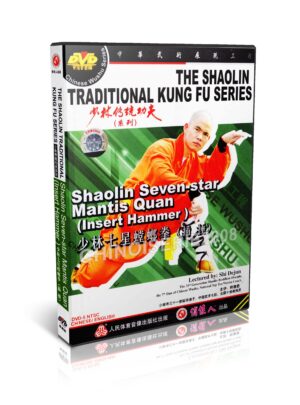 SHI DEJUN - THE SHAOLIN TRADITIONAL KUNG FU SERIES #04