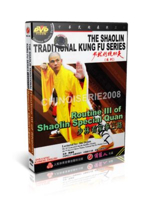 SHI DEJUN - THE SHAOLIN TRADITIONAL KUNG FU SERIES #09