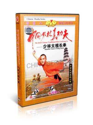 SHI DECI - THE REAL CHINESE TRADITIONAL SHAOLIN KUNG FU #09