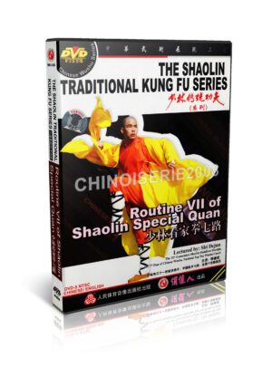 SHI DEJUN - THE SHAOLIN TRADITIONAL KUNG FU SERIES #11