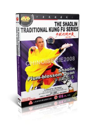 SHI DEJUN - THE SHAOLIN TRADITIONAL KUNG FU SERIES #13