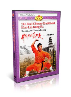 SHI DECI - THE REAL CHINESE TRADITIONAL SHAOLIN KUNG FU #15