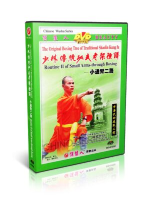 SHI DEYANG - ORIGINAL BOXING TREE OF TRADICIONAL SHAOLIN #15