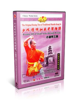 SHI DEYANG - ORIGINAL BOXING TREE OF TRADICIONAL SHAOLIN #16