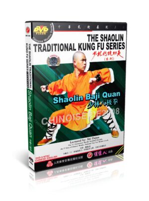 SHI DEJUN - THE SHAOLIN TRADITIONAL KUNG FU SERIES #19