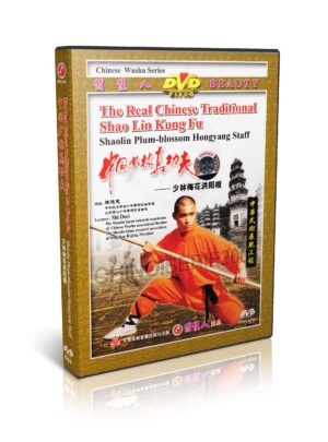 SHI DECI - THE REAL CHINESE TRADITIONAL SHAOLIN KUNG FU #26