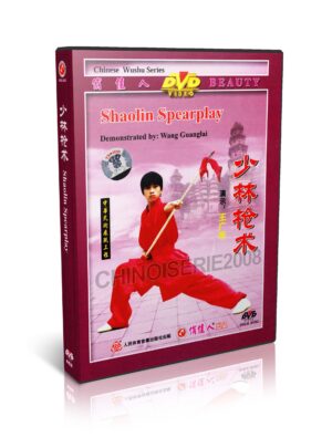 SHI DECI - THE REAL CHINESE TRADITIONAL SHAOLIN KUNG FU #35