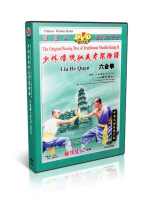 SHI DEYANG - ORIGINAL BOXING TREE OF TRADICIONAL SHAOLIN #41