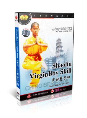 SHI DECI - THE REAL CHINESE TRADITIONAL SHAOLIN KUNG FU #41