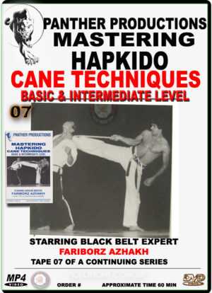 FARIBORZ AZHAKH - MASTERING HAPKIDO VOL.07