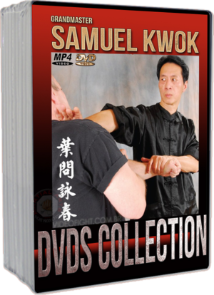 SAMUEL KWOK - WING CHUN DVDS COLLECTIONS