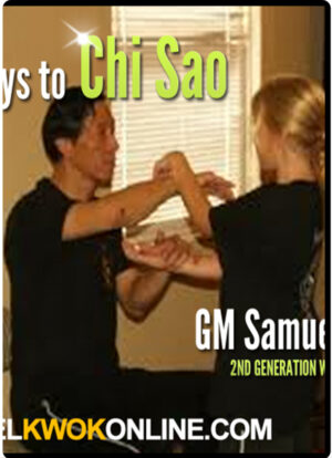 SAMUEL KWOK – THE KEYS TO CHI SAO - SEMINAR