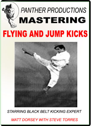 MATT DORSEY - MASTERING FLYING & JUMP KICKS