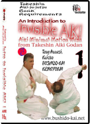 TONY ANNESI - AN INTRODUCTION TO MINIMAL MOTION INVISIBLE AIKI