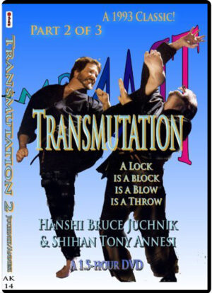 TONY ANNESI - BRUCE JUCHNIK - TRANSMUTATION 02