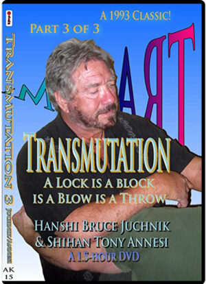 TONY ANNESI - BRUCE JUCHNIK - TRANSMUTATION 03