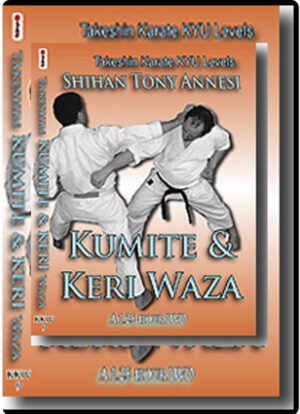 TONY ANNESI - TAKESHIN KERI & KUMITE KYU REQUIREMENTS