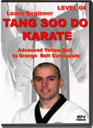 STEVEN ELMORE - LEARN BEGINNER TANG SOO DO KARATE  - LEVEL 04