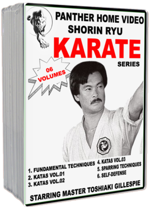 TOSHIAKI GILLESPIE - SHORIN RYU KARATE TRAINNING SERIES