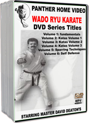 DAVID DEATON - WADO RYU KARATE TRAINING SERIES