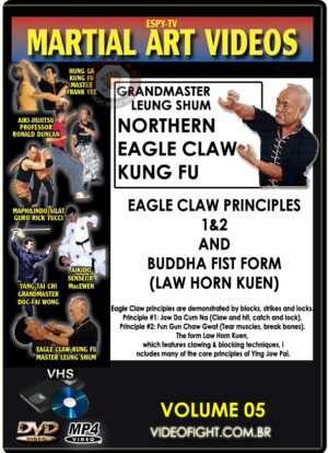 SIFU LEUNG SHUM - EAGLE CLAW KUNG FU #05