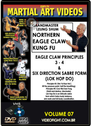 SIFU LEUNG SHUM - EAGLE CLAW KUNG FU #07