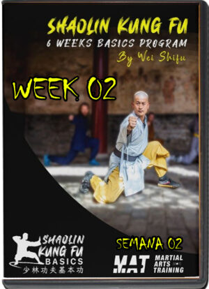 SHIFU WEI (SHI YAN JIA) - SHAOLIN KUNG FU BASIC PROGRAM - WEEK 02