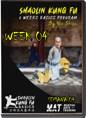 SHIFU WEI (SHI YAN JIA) - SHAOLIN KUNG FU BASIC PROGRAM - WEEK 04