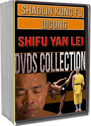 SHIFU YAN LEI - SHAOLIN KUNG FU & QIGONG DVDS COLLECTION