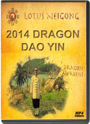 DAMO MITCHELL - 2014 DRAGON DAO YIN