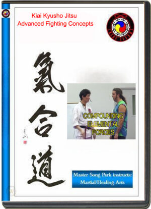 SONG PARK - KIAI JITSU - ADVANCED FIGHTING CONCEPTS