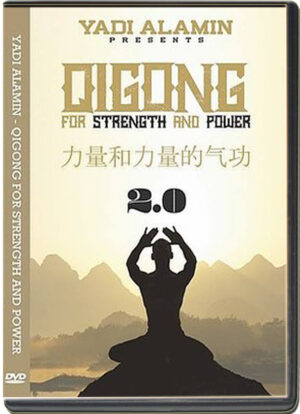 YADI ALAMIN - QIGONG FOR STRENGTH AND POWER 2.0