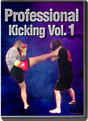 FIRAS ZAHABI - PROFESSIONAL KICKING VOL.01