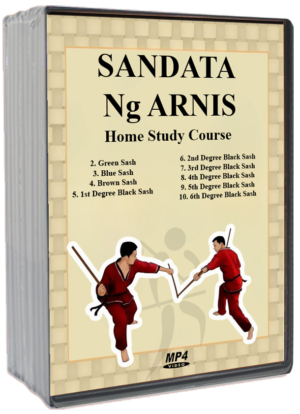 COURSE SANDATA NG ARNIS