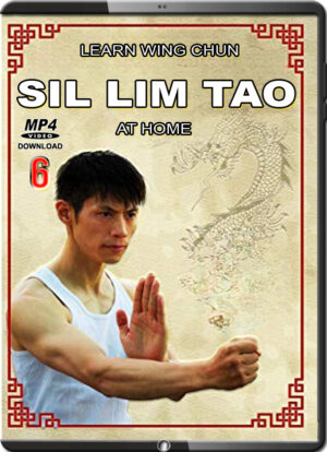 DAVID WONG - LEARN WING CHUN SIL LIM TAO AT HOME