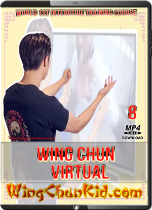 DAVID WONG - VIRTUAL WING CHUN - WORLD 1st INTERACTIVE TRAINING COURSE