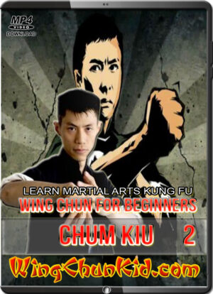 DAVID WONG - WING CHUN FOR BEGINNERS 2 - LEARN MARTIAL ARTS KUNG FU