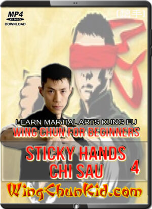 DAVID WONG - WING CHUN FOR BEGINNERS 4 - STICKY HANDS CHI SAU