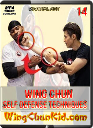 DAVID WONG - WING CHUN MARTIAL ARTS - SELF DEFENSE TECHNIQUES