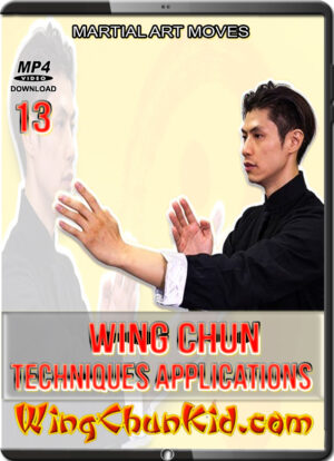 DAVID WONG - WING CHUN TECHNIQUES AND APPLICATIONS