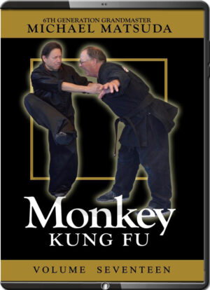 MICHAEL MATSUDA - MONKEY KUNG FU - VOLUME 17