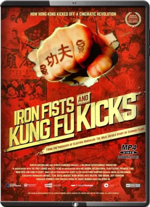 (2019) IRON FISTS AND KUNG FU KIDS