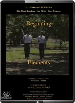 GIRON SOMERA - FILIPINO ARNIS ESCRIMA - BEGINNING ELEMENTS