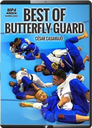 CESAR CASAMAJO - BEST OF BUTTERFLY GUARD