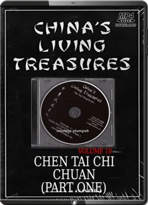 GEORGE XU - CHINA'S LIVING TREASURES - CHEN TAI CHI PART 01